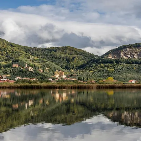 Pallina With Pool - Happy *