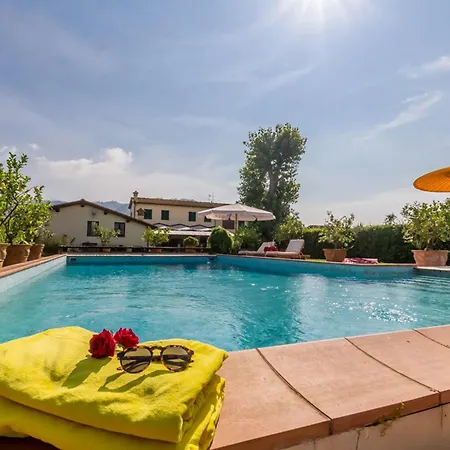 Pallina With Pool - Happy